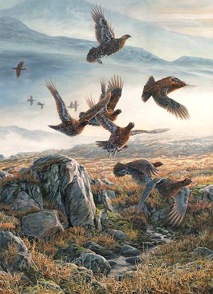 Taking wing a flushed covey of red grouse oil painting